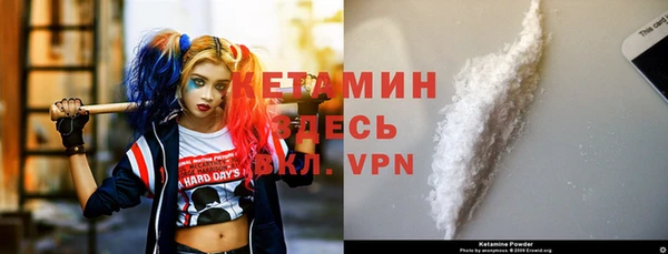 прущие грибы Баксан
