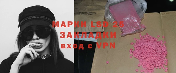 ГАЛЛЮЦИНОГЕННЫЕ ГРИБЫ Аркадак