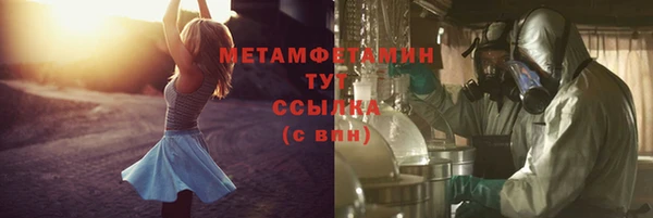 ГАЛЛЮЦИНОГЕННЫЕ ГРИБЫ Аркадак
