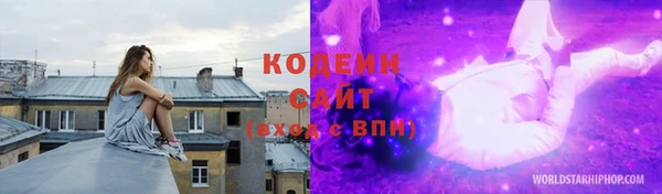 ГАЛЛЮЦИНОГЕННЫЕ ГРИБЫ Аркадак
