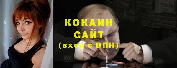 ГАЛЛЮЦИНОГЕННЫЕ ГРИБЫ Аркадак