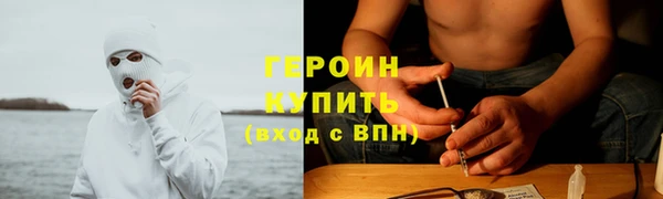 ГАЛЛЮЦИНОГЕННЫЕ ГРИБЫ Аркадак