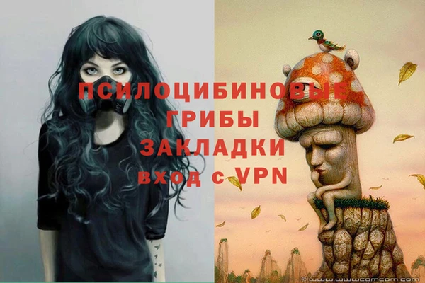 МДМА Арсеньев
