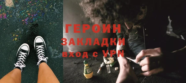 ГАЛЛЮЦИНОГЕННЫЕ ГРИБЫ Аркадак