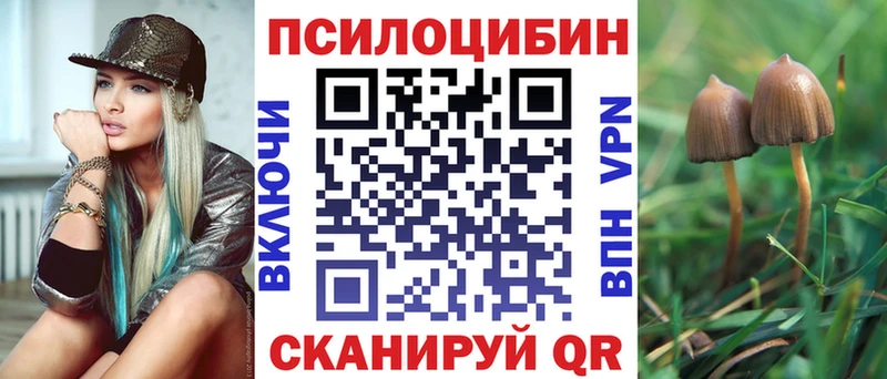 Галлюциногенные грибы прущие грибы  Лихославль 